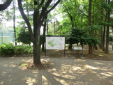 城北中央公園
