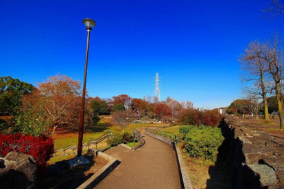 岸根公園の画像1