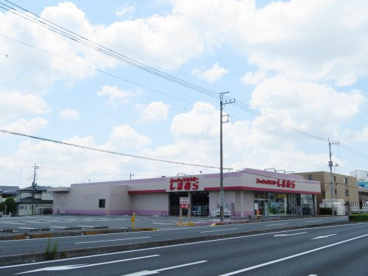 しまむらの画像1