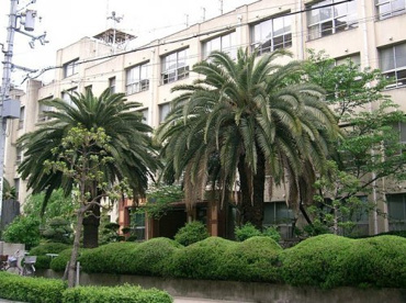 大阪市立日吉小学校の画像1