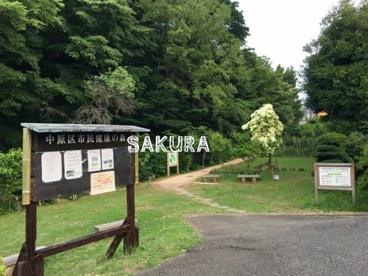 中原区市民健康の森(井田山緑地)の画像1