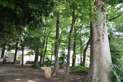 宮前けやき緑地の画像1