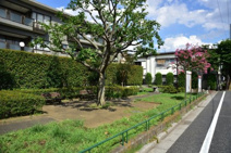 宮前あおぞら緑地