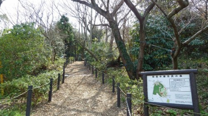 駒岡中郷市民の森の画像1