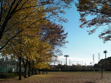 東大和市上仲原公園野球場の画像1
