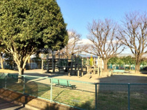 しぶさわふれあい公園