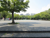 反町公園