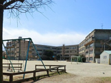 小学校 松戸市立柿ノ木台小学校
