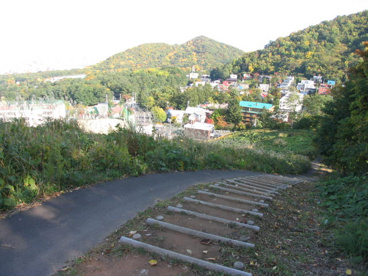 荒井山緑地の画像1
