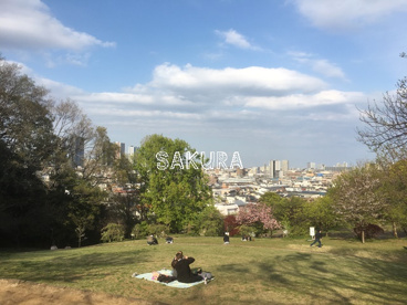 日吉公園の画像1