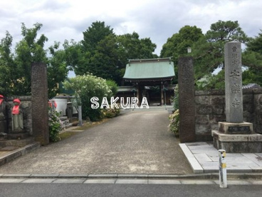 安楽寺の画像1