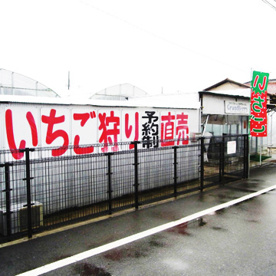 Grand Berryの画像2