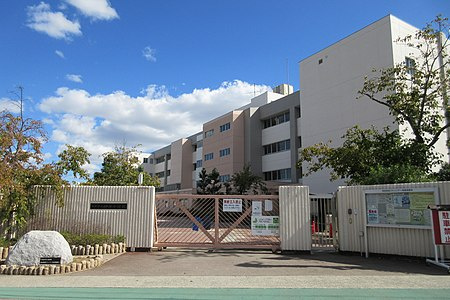 の画像