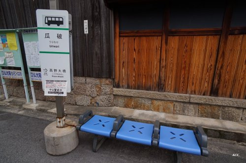 の画像