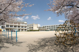 松戸市立 北部小学校