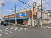 ビッグ・エー相模原鵜野森店