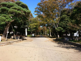 千葉公園（松波側）