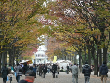 代々木公園 ケヤキ並木通り情報ページ 中野区の戸建て 東京プロス