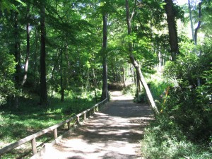 城山公園の画像1