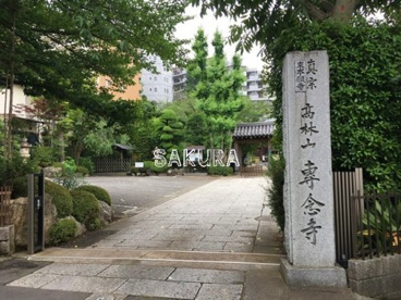 専念寺の画像1