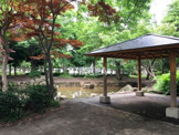橘公園 (明津公園)