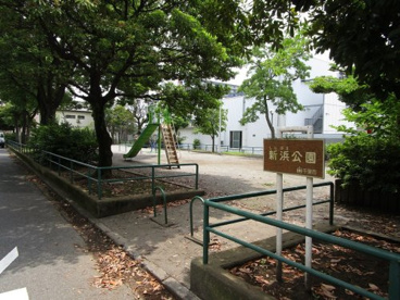 新浜公園の画像1