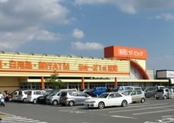 The Big(ザ・ビッグ) 北島店の画像1
