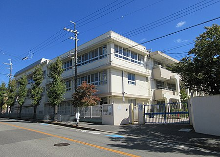 の画像