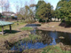 金目親水公園の画像