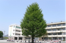 海老名市立海老名中学校