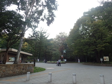 円山公園の画像2