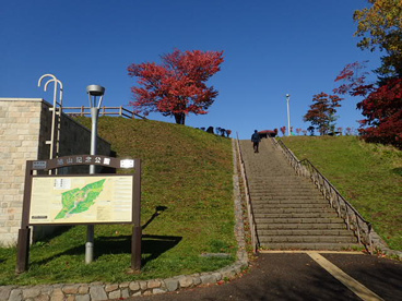 旭山記念公園の画像3