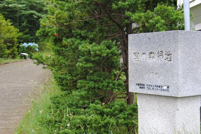 宮の森緑地の画像1