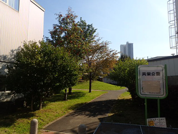 共栄公園の画像1