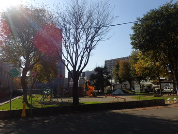 北円山公園の画像4