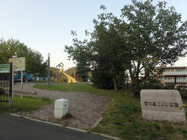 宮の森こぶし公園の画像1