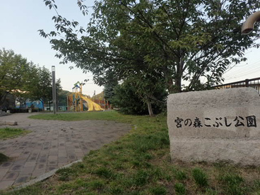 宮の森こぶし公園の画像3