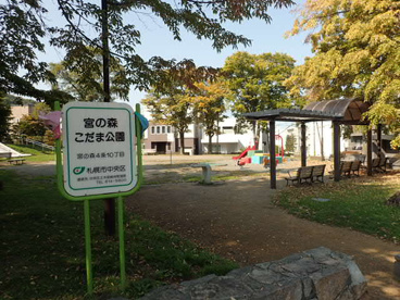 宮の森こだま公園の画像1
