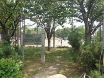 宮の森グリーン公園