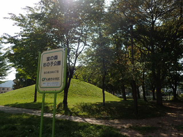 宮の森杉の子公園の画像1