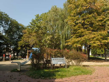 宮の森杉の子公園の画像2