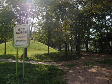 宮の森杉の子公園の画像3