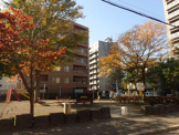 南円山こども公園