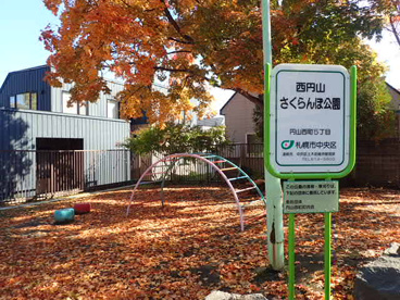 西円山さくらんぼ公園の画像2