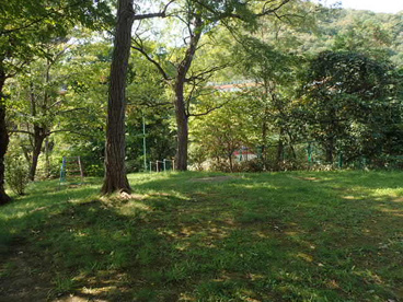 宮の森三角山公園の画像2