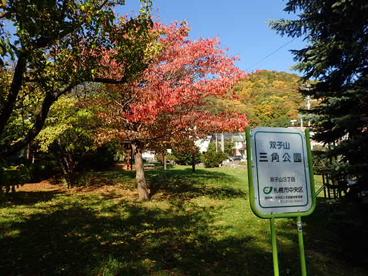 双子山三角公園の画像1