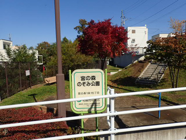 宮の森のぞみ公園の画像1