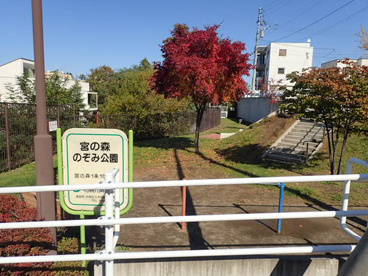宮の森のぞみ公園の画像2