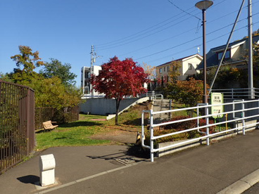 宮の森のぞみ公園の画像4
