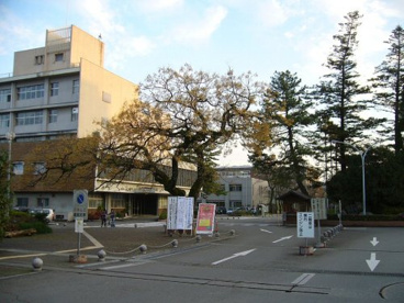 高知大学の画像1